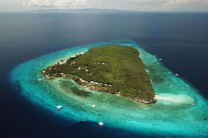 Oslob Whaleshark with Sumilon Island - Crowds and Boat Numbers: How to Manage Expectations