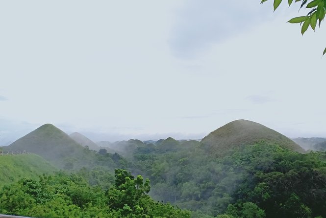 Private Day Trip Cebu to Bohol w/ Chocolate Hills & Loboc Cruise - Mahogany Forest and Conservation Stops: Short Nature Breaks With Real Purpose