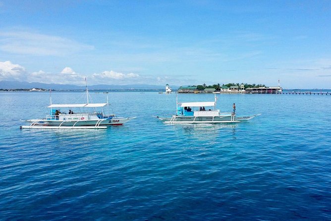 Twin Island Snorkeling Adventure at Hiltungan and Nalsuan - Snorkeling at Nalusuan Island Marine Sanctuary: shallow reef, easy access