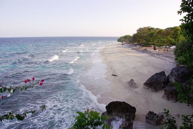 Whale Shark Encounter & Sumilon Sandbar & Canyoneering in Kawasan Falls - Key Things I’d Pay Attention To