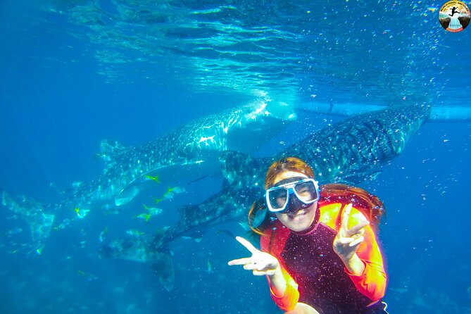 Whale Shark Swimming, Tumalog Falls and Kawasan Canyoneering - Key Things You’ll Be Glad About