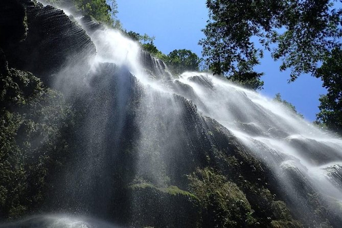 Whale Shark & Tumalog Falls & Sumilon Sandbar & Pescador Island with Sardines - Is $164 a fair deal for this 4-in-1 Cebu day?