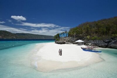 Whale Shark & Tumalog Falls & Sumilon Sandbar & Pescador Island with Sardines - The early Oslob run and whale shark swim: worth the cold wake-up