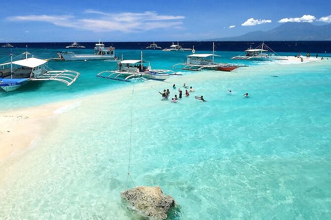 Whale Watching in Sumilon Island with Ocean View Resort and Lunch - Key things to know before you go
